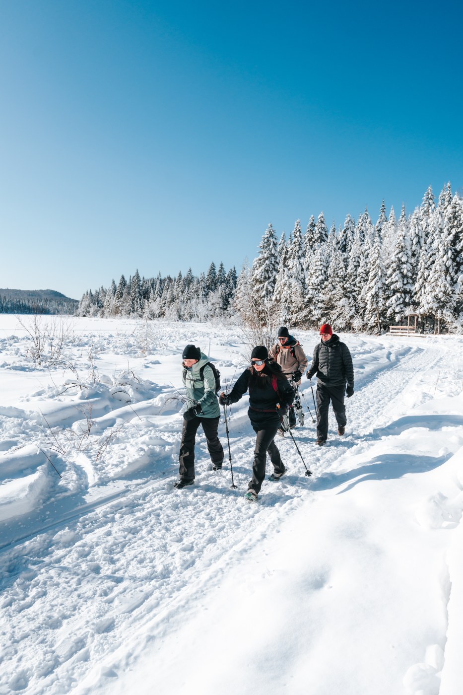  Season Pass &mdash; Cross-country Skiing 