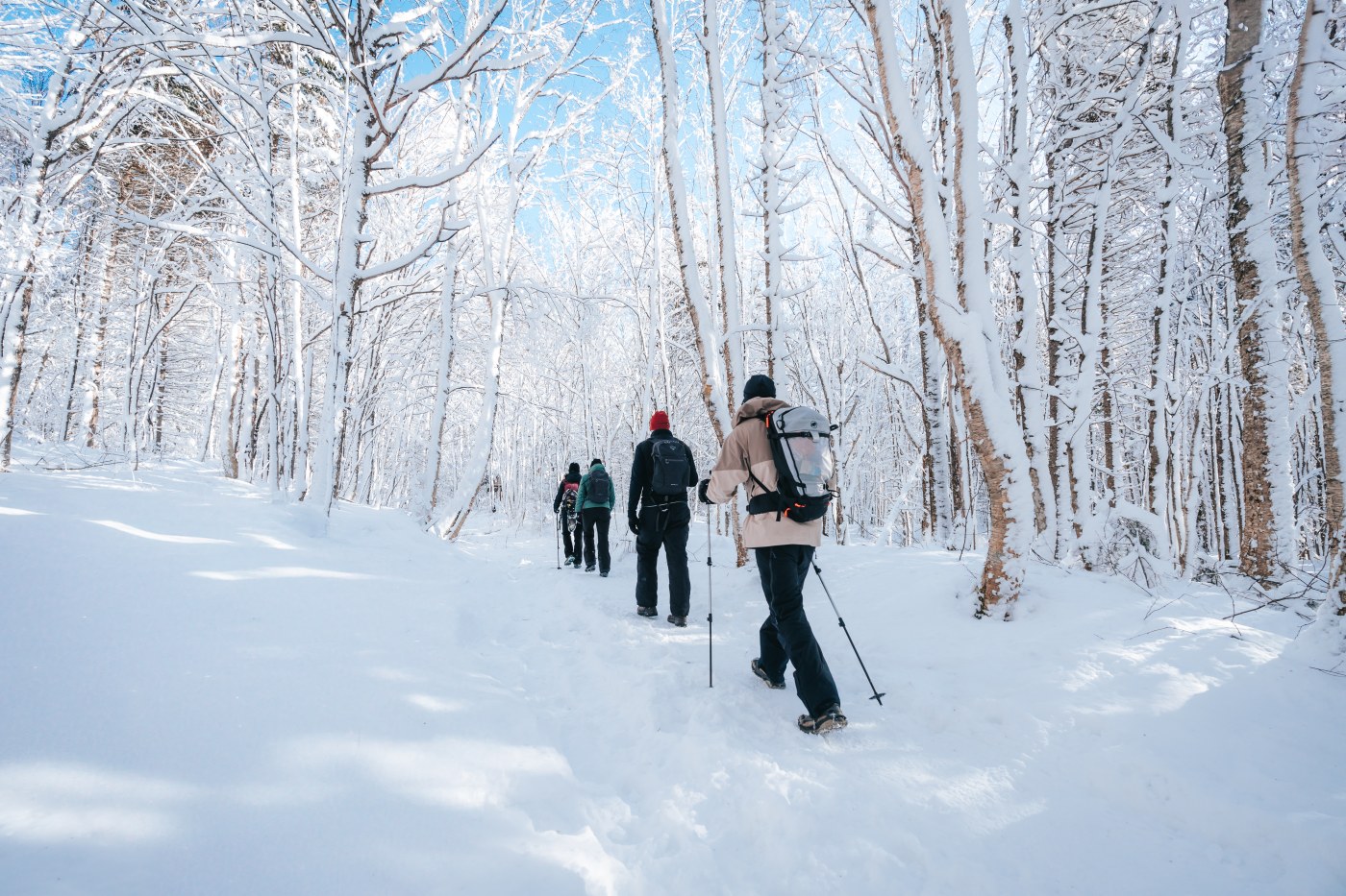  Season Pass &mdash; Cross-country Skiing 