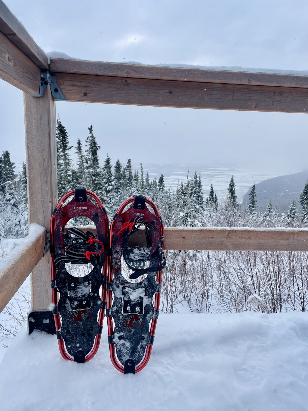Daily rate for snowshoeing