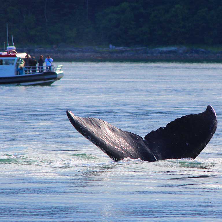 ReservPro pour activités