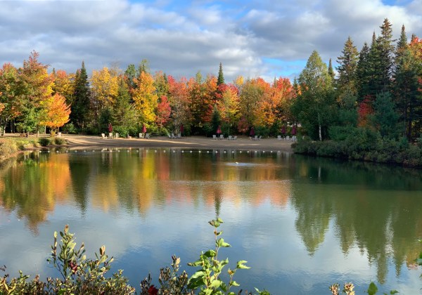 Camping du Parc